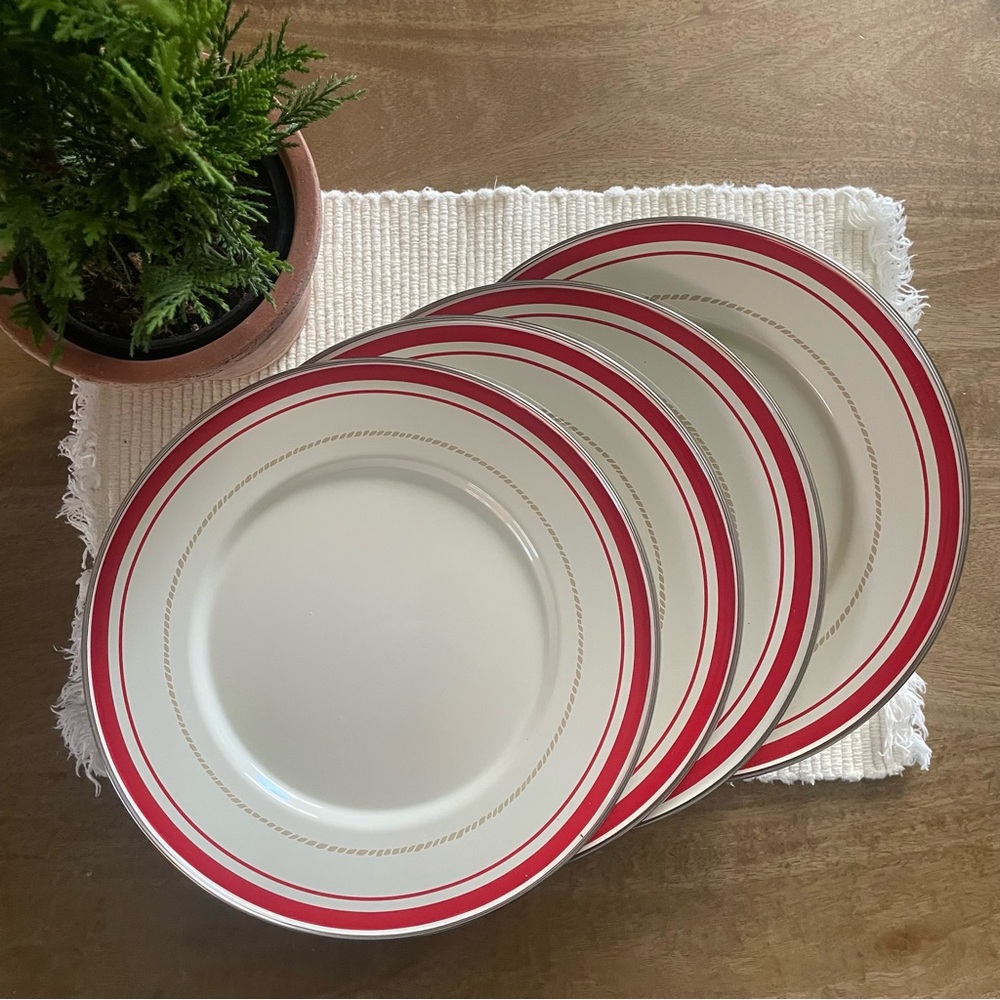 American Picnic Enamel Plates